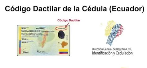 D Nde Consultar C Digo Dactilar De La C Dula Ecuador