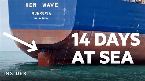 Stowaways Survive Days At Sea Clinging To Ship Rudder Insider News