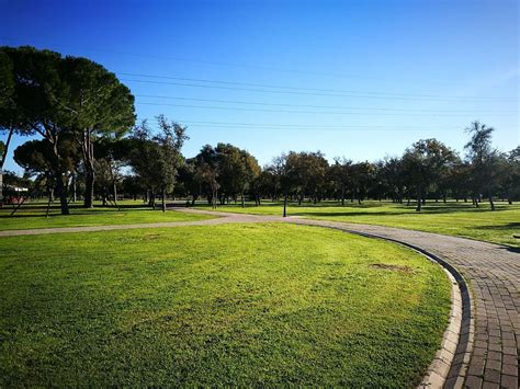 Parques Donde Correr En Sevilla Wine Gogh