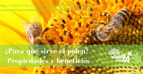 Propiedades Y Beneficios Del Polen De Abeja Observa