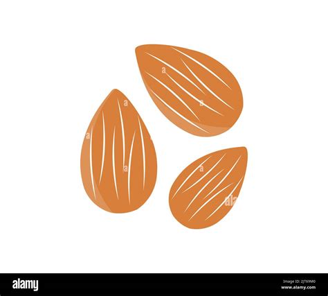 Flying Almond Isolated On White Background Logo Design Organic Fresh