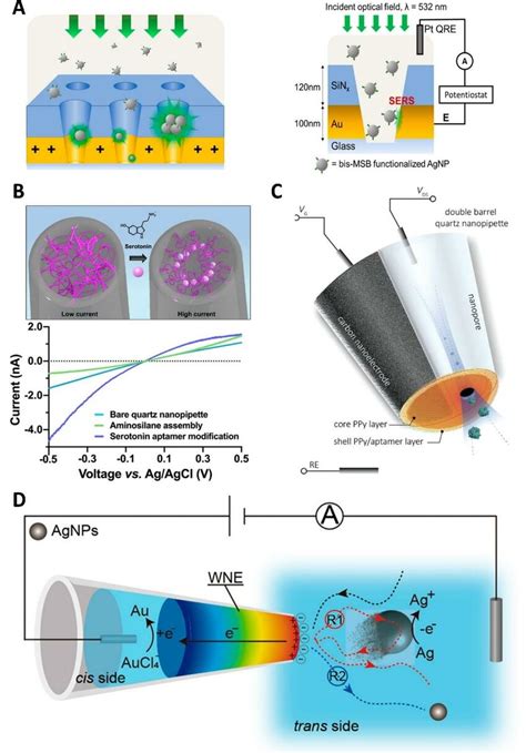 A Schematic Representation Of A High Density Nanopore Electrode Array