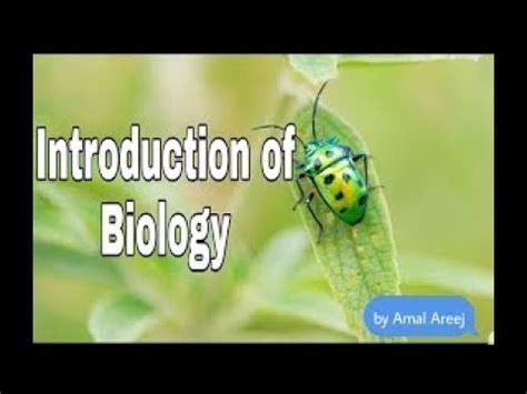 Biology Main Branches Of Biology Introduction Of Biology Branches