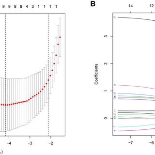 Demographic And Clinical Feature Selection Using The Lasso Binary