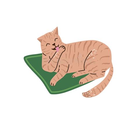 Cat Mat Stock Illustrations 1351 Cat Mat Stock Illustrations