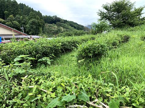 延岡市北方町【売買土地】 株式会社つねとみ不動産