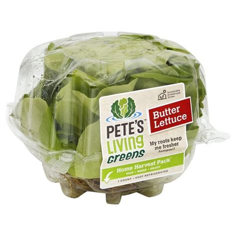 Live Gourmet Living Butter Lettuce 5 Oz Container Instacart