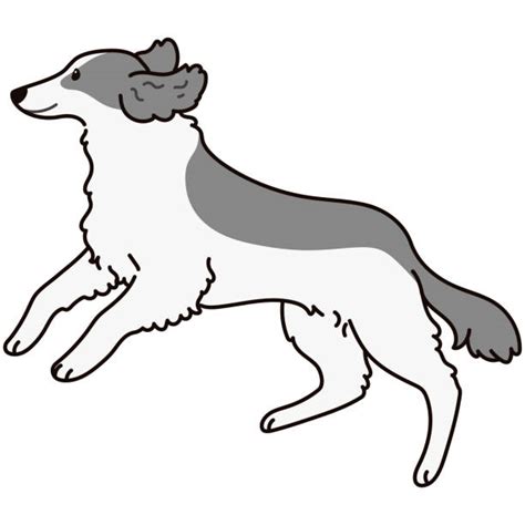 Cartoon Of Borzoi Illustrations Royalty Free Vector Graphics And Clip