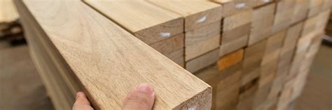 A Guide To Basswood Characteristics Working Properties And Uses