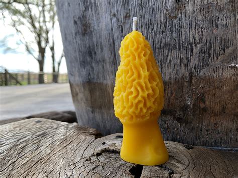 Beeswax Candle Morel Mushroom Candle Etsy