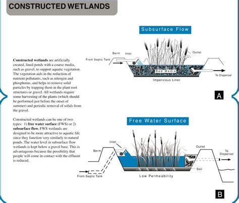 Constructed Wetlands | National Environmental Services Center | West ...