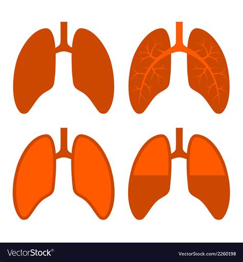 Human Lung Icons Set Royalty Free Vector Image