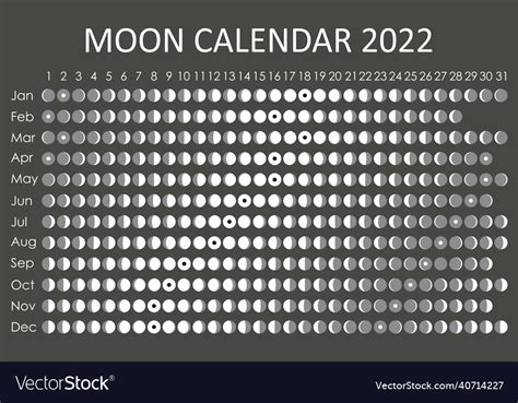 Moon Calendar Astrological Design Royalty Free Vector