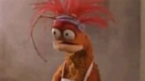 Pepe The King Prawn Video Gallery Know Your Meme