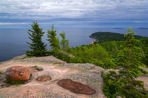 Gorham Mountain Trail Joe S Guide To Acadia National Park