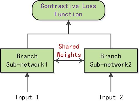 Illustration Of A Siamese Network Framework Download Scientific Diagram