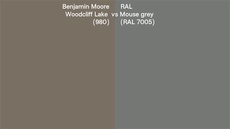 Benjamin Moore Woodcliff Lake Vs Ral Mouse Grey Ral Side