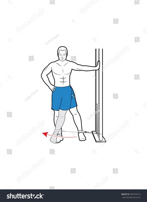 Man Doing Adductor Exercise Stock Vector Royalty Free