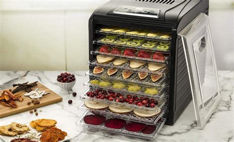 Top 10 Best Food Dehydrators In 2019 Buyer’s Guide Food Dehydrators Food Dehydrator Machine