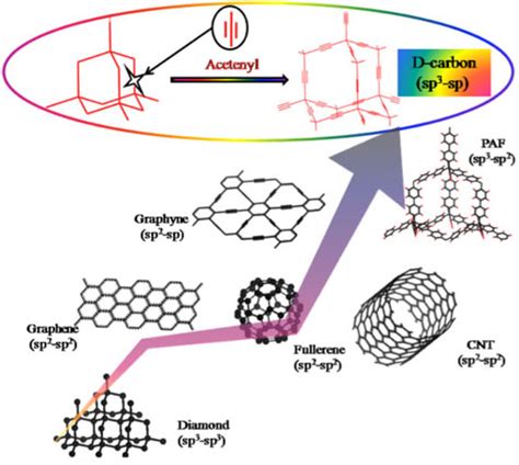 D Carbon A New Carbon Allotrope With Extremely High Gas Adsorption