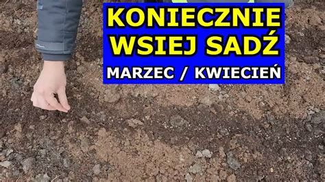 KONIECZNIE Wysiej te Warzywa Przełom Marca Kwietnia Co siać sadzić w