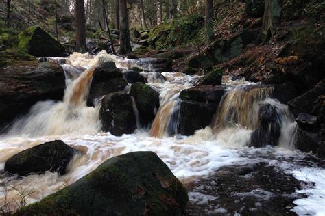 Wyming Brook Nature Reserves Sheffield And Rotherham Wildlife Trust