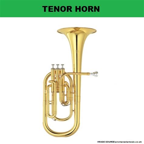 My Homeworks Brass Wind Instrument Tenor Horn