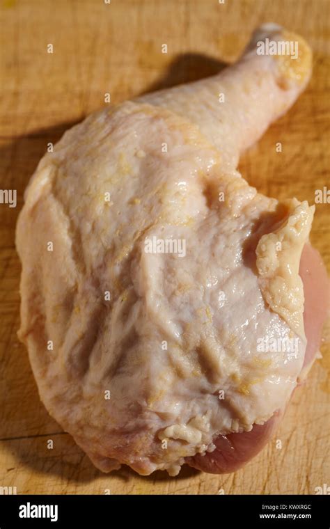 Chicken Leg Dissection