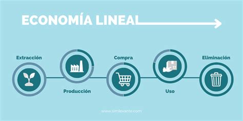 Los 6 Beneficios De La Economía Circular Y Sim Levante