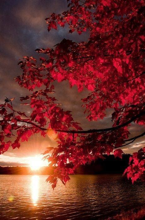 Red Autumn Pictures, Photos, and Images for Facebook, Tumblr, Pinterest ...