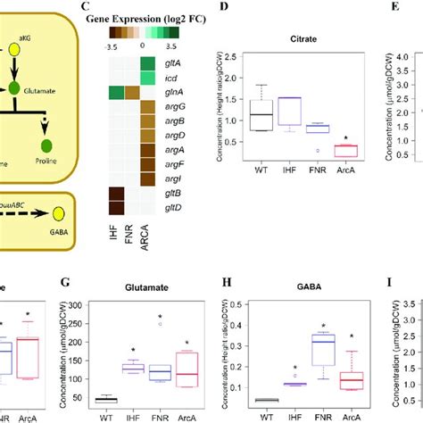 Integrated Transcriptomics And Metabolomics Analysis At Pep And