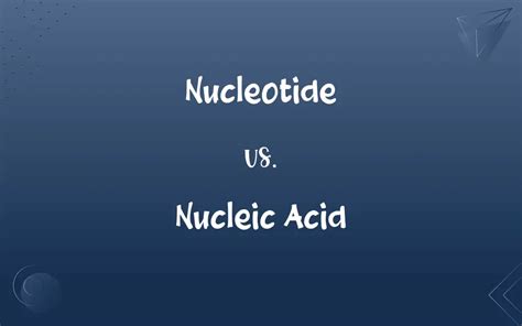 Nucleotide Vs Nucleic Acid Whats The Difference