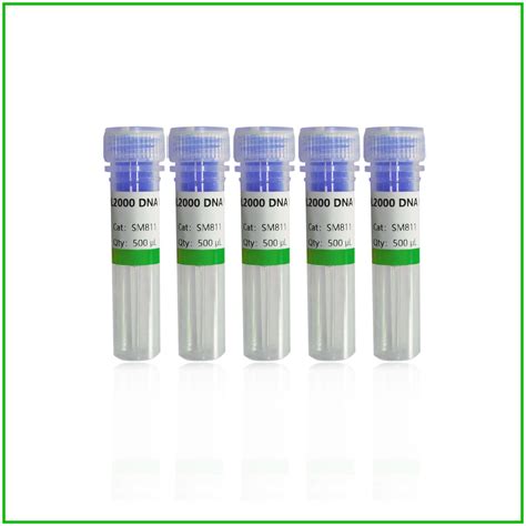 Aicon Bio™ Dl2000 Dna Marker Aicon Bio