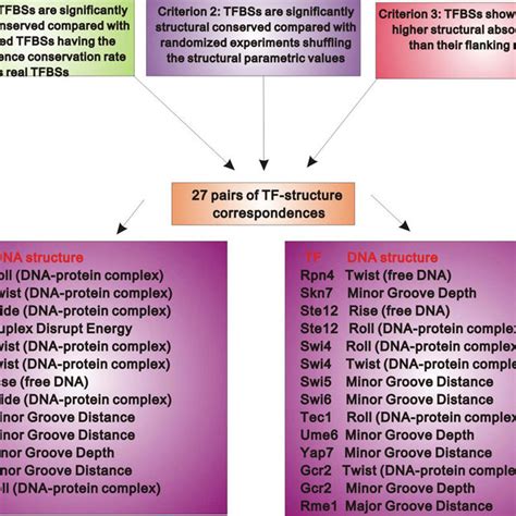 The Refined Landscape Of Tfs And Their Characteristic Binding Dna