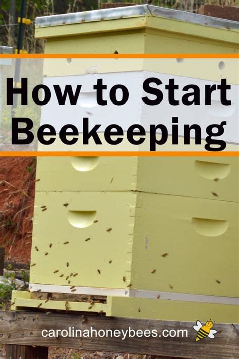 Beekeeping For Beginners Step By Step Guide Carolina Honeybees Bee Keeping How To Start