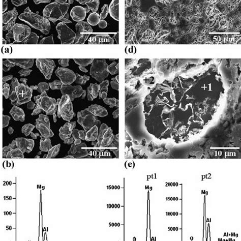 Secondary electron microscopy images (a) and (c) and backscatter ...