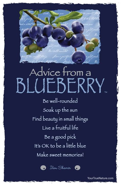 Advice From A Blueberry Postcard Your True Nature Good Advice