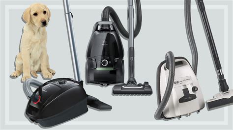 The best vacuum cleaners for removing pet hair | CHOICE