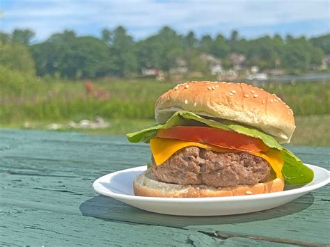 Easy Homemade Hamburgers 5 Ingredient Recipe 15 Minutes Meal