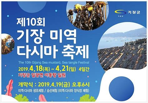 기장 미역 다시마 축제 2019 일정 및 정보