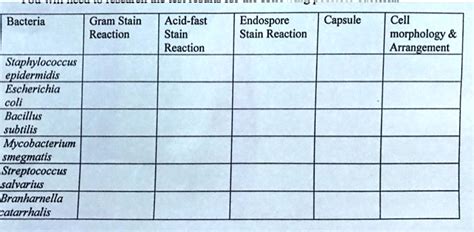 Solved Bacteria Gram Stain Reaction Acid Fast Stain Reaction Endospore