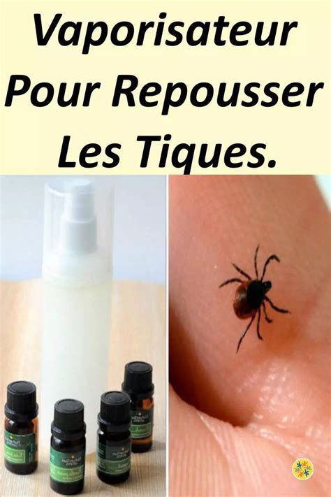 Faire Un Vaporisateur Contre Les Tiques Et Les Repousser Efficacement