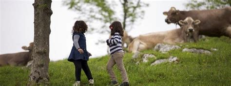 Guia De Actividades Que Hacer En Llanes Y Alrededores Con Ni Os Casas