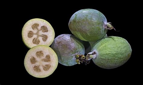 Feijoa Frutto E Sue Propriet