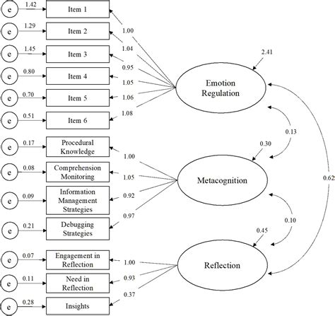 Frontiers What Is Metacognitive Reflection The Moderating Role Of