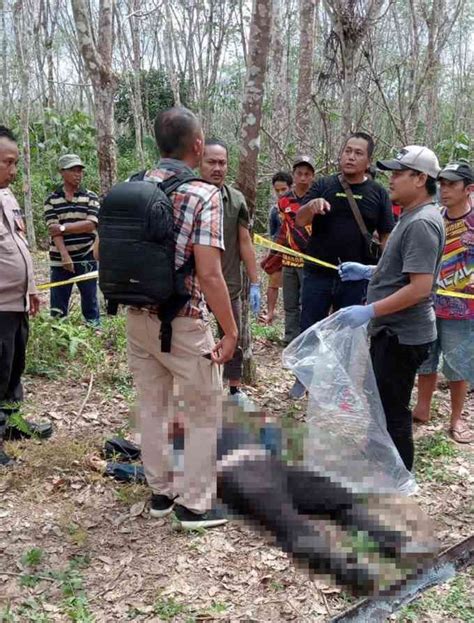 Kasus Pembunuhan Sabriansyah Diduga Perintah Pembunuhan Dari Petinggi