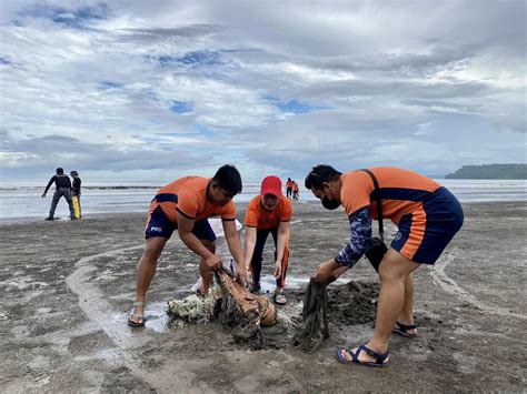 Philippine Coast Guard On Twitter Tingnan Umabot Sa Sako Ng