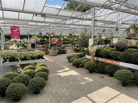 Tuincentrum Tuincentrum Van Ee Groot Assortiment Aan Groen