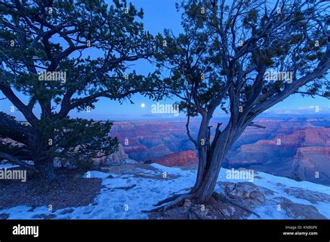 Grand Canyon Con Luna Llena Sobre El Borde Sur En Invierno Desde El