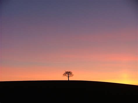 Free Images Landscape Tree Horizon Silhouette Cloud Sky Sun